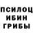 Псилоцибиновые грибы прущие грибы Dana Kopesbayeva