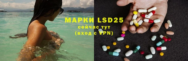 стафф Алексин