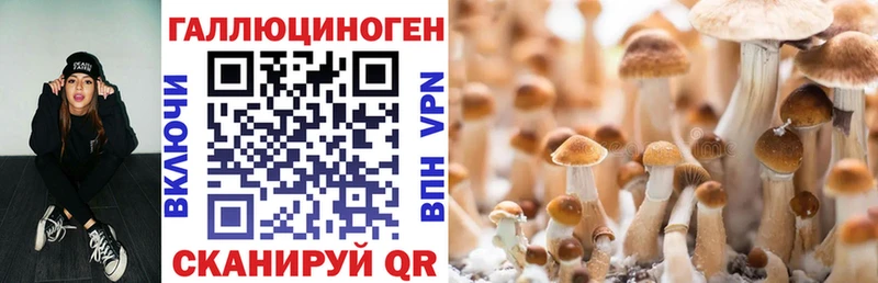 Галлюциногенные грибы MAGIC MUSHROOMS Сольвычегодск